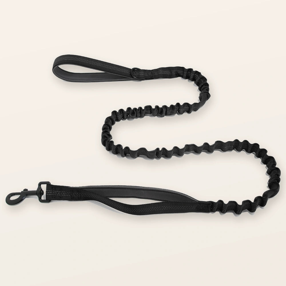 SafeWalk shock-absorbing bungee leash - Black
