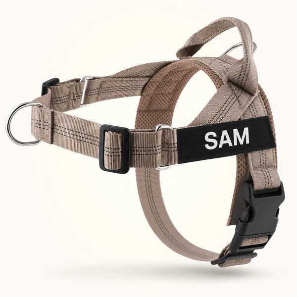 Beige SafeWalk harness on Sam