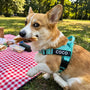 SafeWalk® Anti-Zug-Hundegeschirr