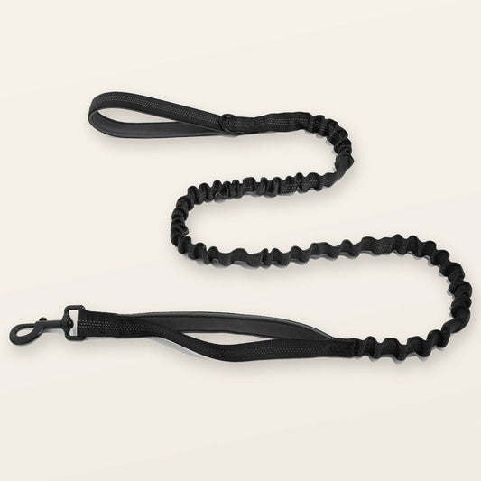 SafeWalk shock-absorbing bungee leash - Black