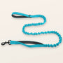 SafeWalk shock-absorbing bungee leash - Sky Blue