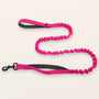 SafeWalk shock-absorbing bungee leash - Pink