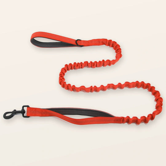 SafeWalk shock-absorbing bungee leash - Orange