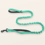 SafeWalk shock-absorbing bungee leash - Aqua