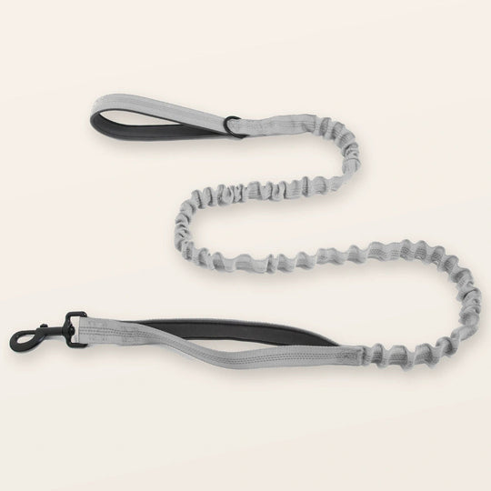 SafeWalk shock-absorbing bungee leash - Gray