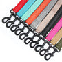 SafeWalk bungee leash color options