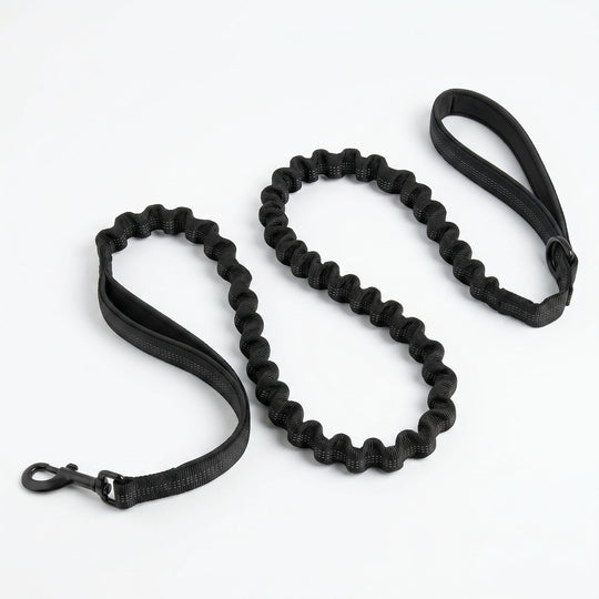 SafeWalk bungee leash detail