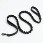 SafeWalk bungee leash detail