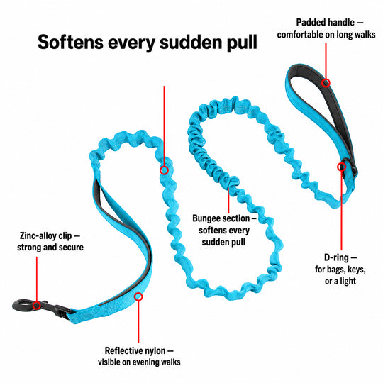 Aqua SafeWalk bungee leash showing shock absorber, padded handle, D-ring, reflective strap, and clip