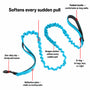 Aqua SafeWalk bungee leash showing shock absorber, padded handle, D-ring, reflective strap, and clip