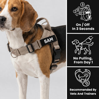 Pettorina anti-tiro SafeWalk®