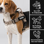 SafeWalk® No-Pull Dog Harness