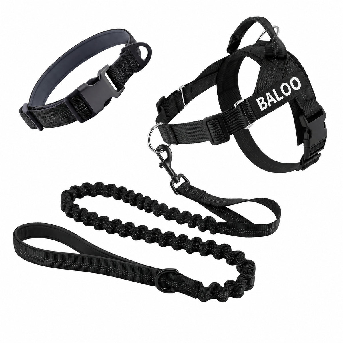 Black SafeWalk harness with its BALOO name patch, alongside a padded collar and bungee leash