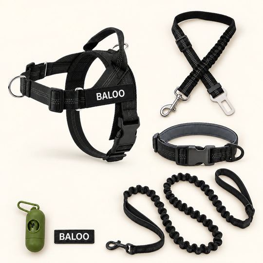 SafeWalk Complete Walking Kit in black: no-pull harness, bungee leash, padded collar, SafeBelt, bag dispenser and name tag