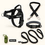 SafeWalk Complete Walking Kit in black: no-pull harness, bungee leash, padded collar, SafeBelt, bag dispenser and name tag