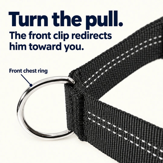 Close-up of the front chest ring on a black SafeWalk no-pull harness
