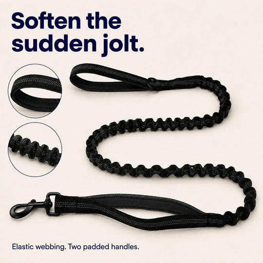 Black SafeWalk bungee leash with a shock-absorbing elastic section and two padded handles