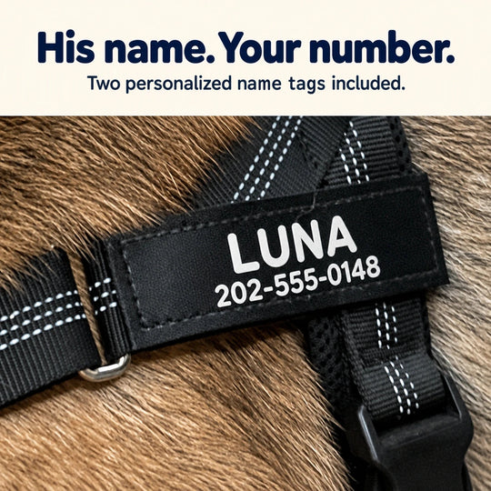 Personalized SafeWalk name tag with the name LUNA and a phone number on a black harness