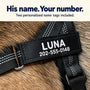 Personalized SafeWalk name tag with the name LUNA and a phone number on a black harness