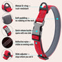 Red SafeWalk padded collar showing D-ring, padding, buckle, reflective strap, and adjuster