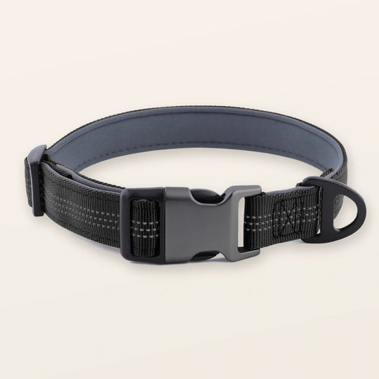 SafeWalk padded collar - Black