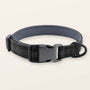 SafeWalk padded collar - Black