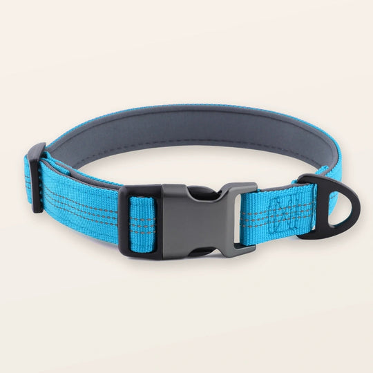 SafeWalk padded collar - Sky Blue