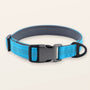 SafeWalk padded collar - Sky Blue