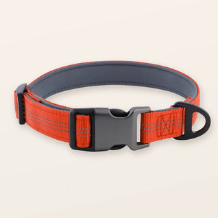 SafeWalk padded collar - Orange
