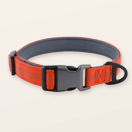 SafeWalk padded collar - Orange