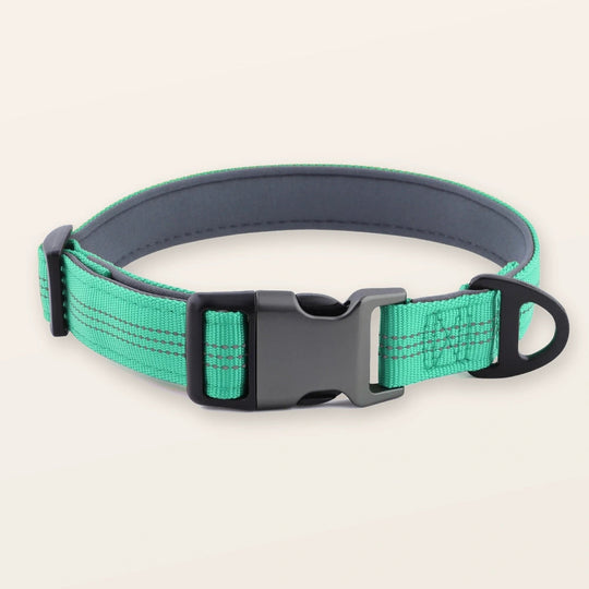 SafeWalk padded collar - Aqua