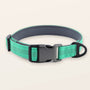 SafeWalk padded collar - Aqua