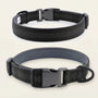 SafeWalk padded collars - Red and Black
