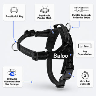 Pettorina anti-tiro SafeWalk®