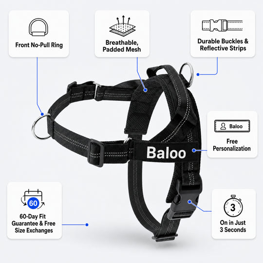 SafeWalk® No-Pull Dog Harness
