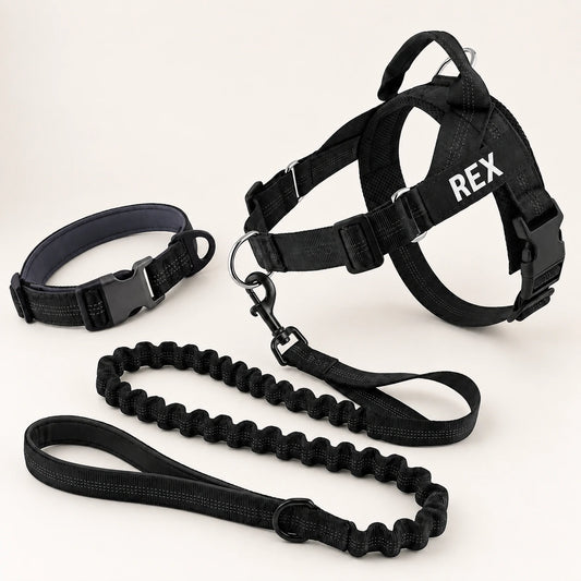 Black SafeWalk Complete Walking Kit: no-pull harness with REX name tag, bungee leash and padded collar