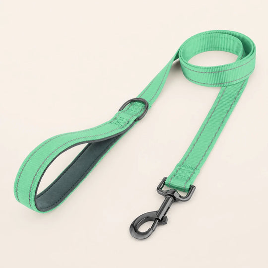 SafeWalk strong padded training leash - Aqua