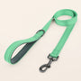 SafeWalk strong padded training leash - Aqua