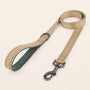 SafeWalk strong padded training leash - Beige