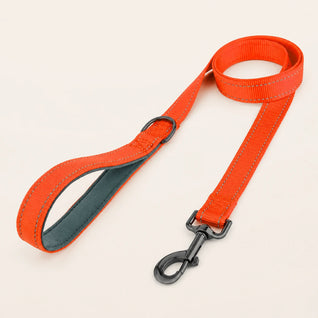 SafeWalk strong padded training leash - Orange