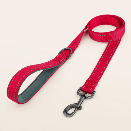 SafeWalk strong padded training leash - Red