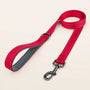 SafeWalk strong padded training leash - Red