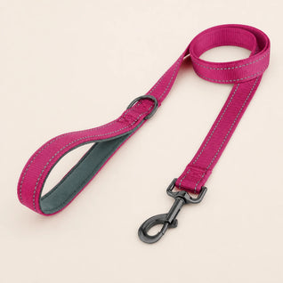 SafeWalk strong padded training leash - Pink