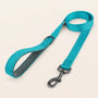 SafeWalk strong padded training leash - Sky Blue