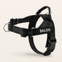Black SafeWalk No-Pull 2.0 harness with BALOO name patch on a warm ivory background