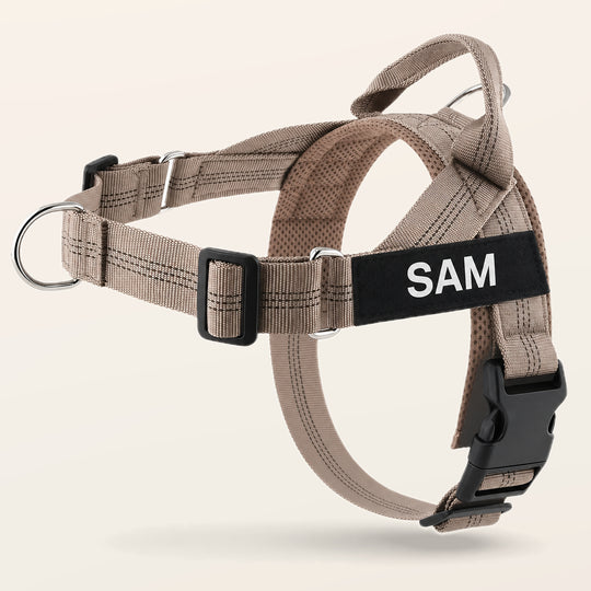 Beige SafeWalk No-Pull 2.0 harness with SAM name patch on a warm ivory background