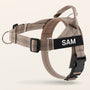 Beige SafeWalk No-Pull 2.0 harness with SAM name patch on a warm ivory background