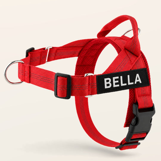Red SafeWalk No-Pull 2.0 harness with BELLA name patch on a warm ivory background