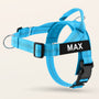 Sky Blue SafeWalk No-Pull 2.0 harness with MAX name patch on a warm ivory background