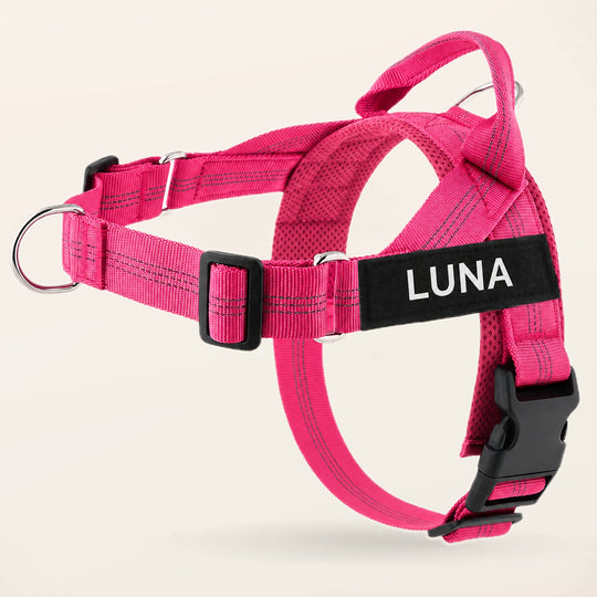 Pink SafeWalk No-Pull 2.0 harness with LUNA name patch on a warm ivory background